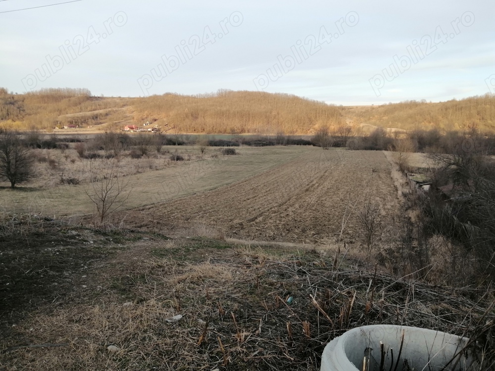 Vînd teren intravilan & extravilan 7000mp*30km Craiova 