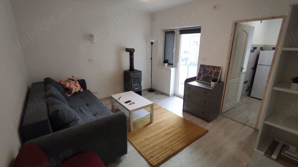 Apartament cu o camera Anina