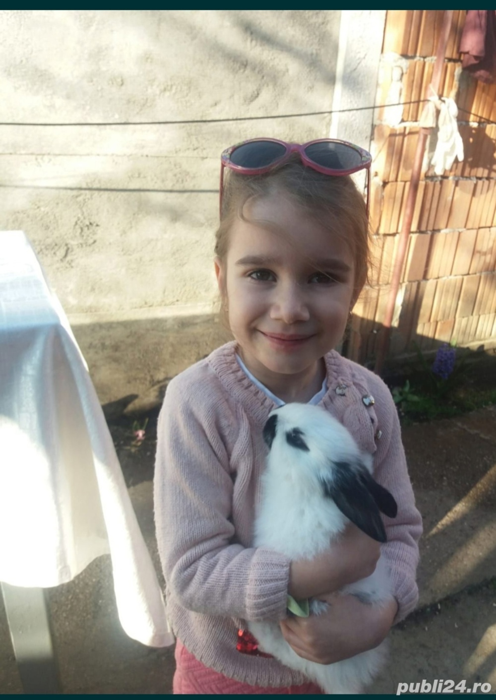 Diferite rase de iepuri 