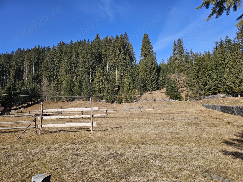 Teren de vanzare intravilan in Bucovina Vatra Moldovitei