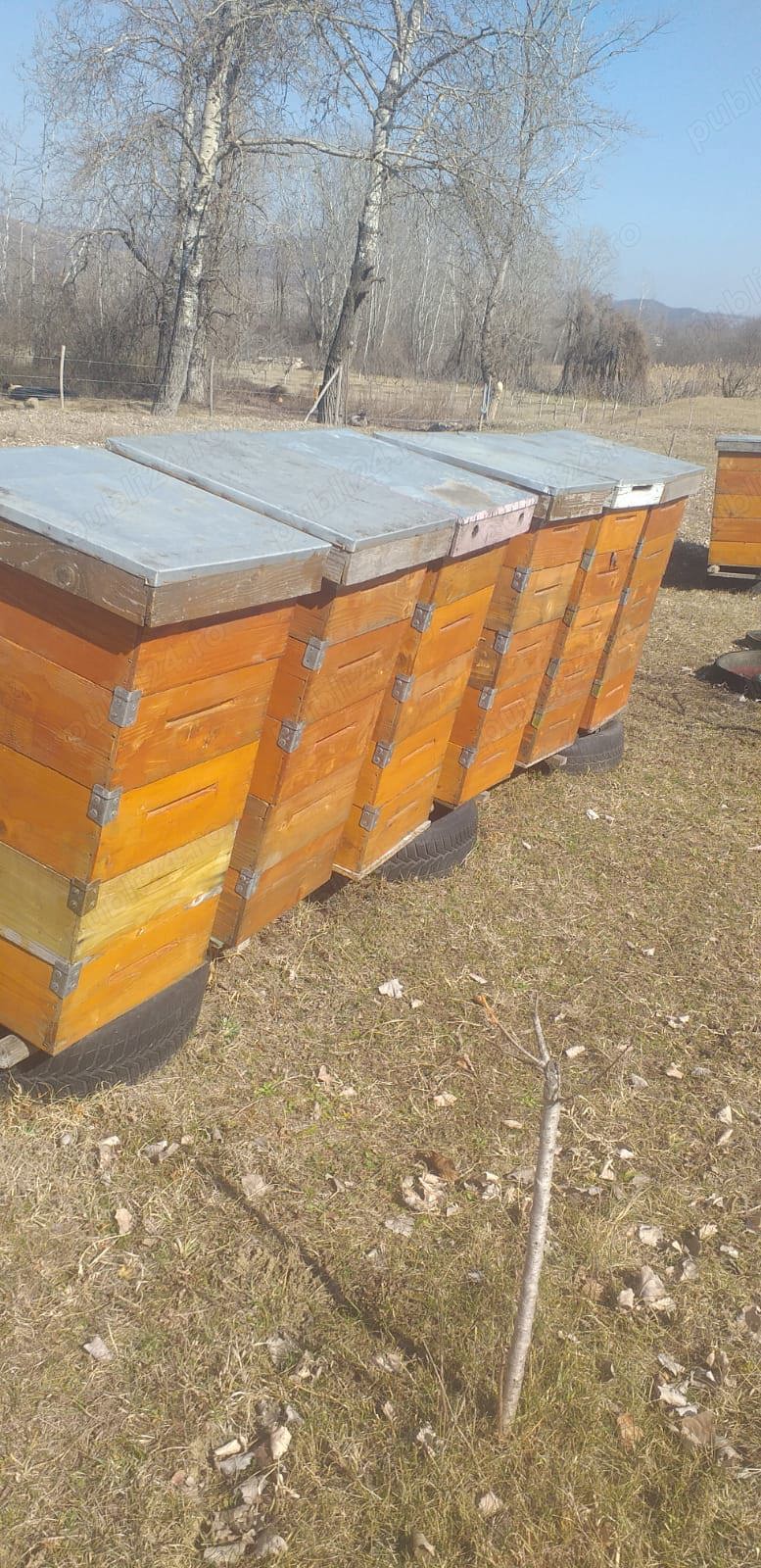 Vand rame si cutii stupi