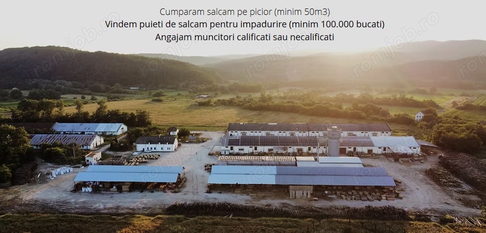 Muncitori calificati si necalificati in productia lemnului