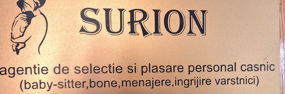 Ingrijitoare  interna 24 24