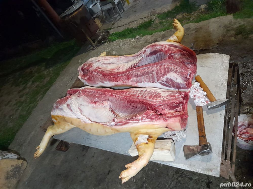 porci in carcasa porci in carcasa