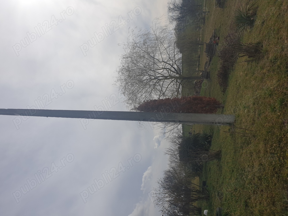 Stâlp beton  armat 10 m