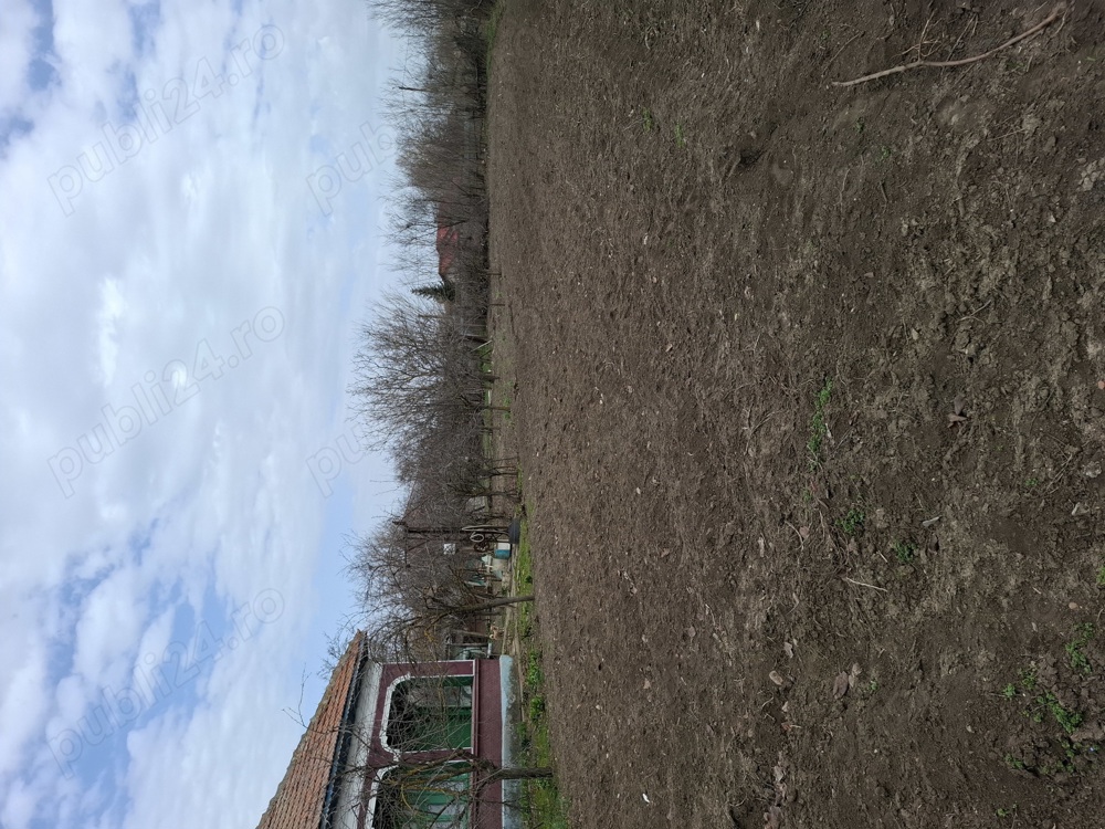 Casa Comuna Sohatu județ Călărași 