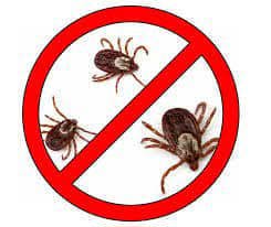 Deratizare. Dezinsecției. Dezinfectie. (D. D D) 