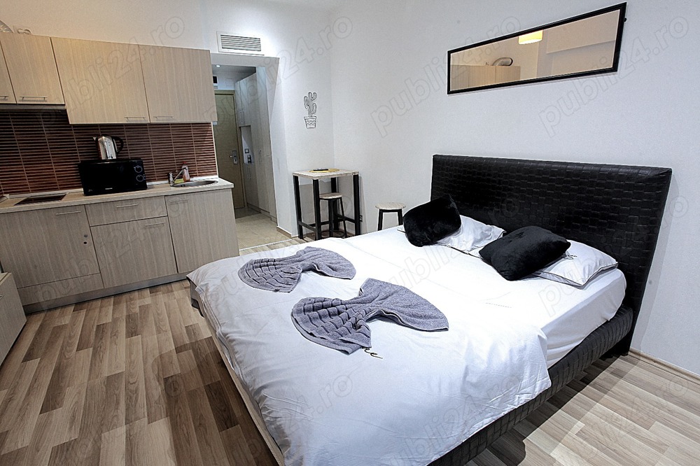 Apartamente de lux in Regim Hotelier Rin