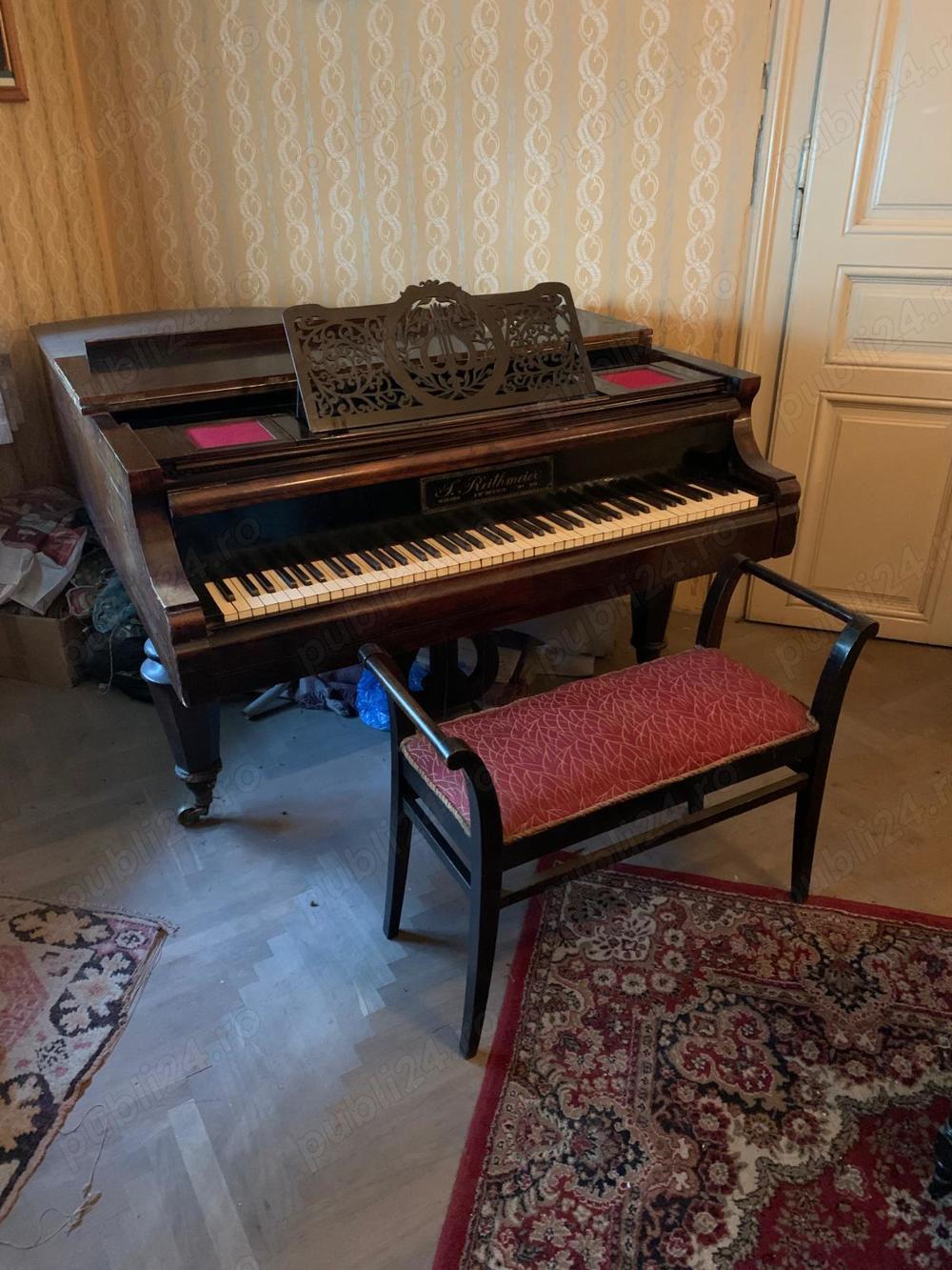 Pian cu coada Reithmeier