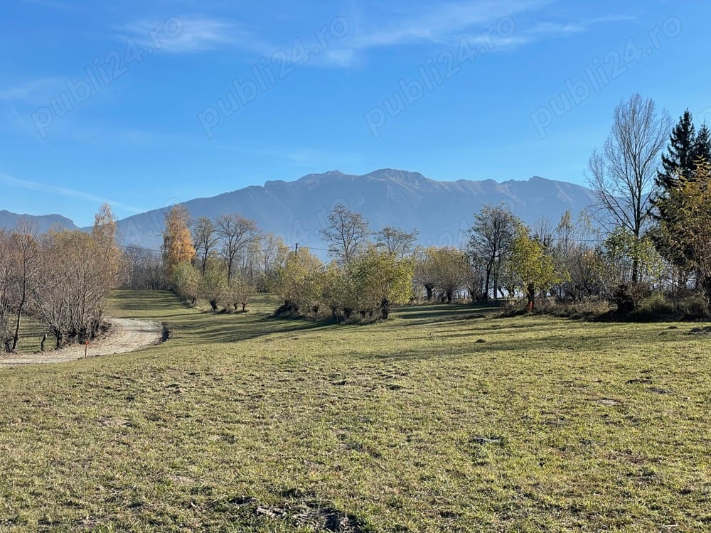 Vand teren la munte zona similara cu Sinaia, Bucegi, Azuga si Predeal