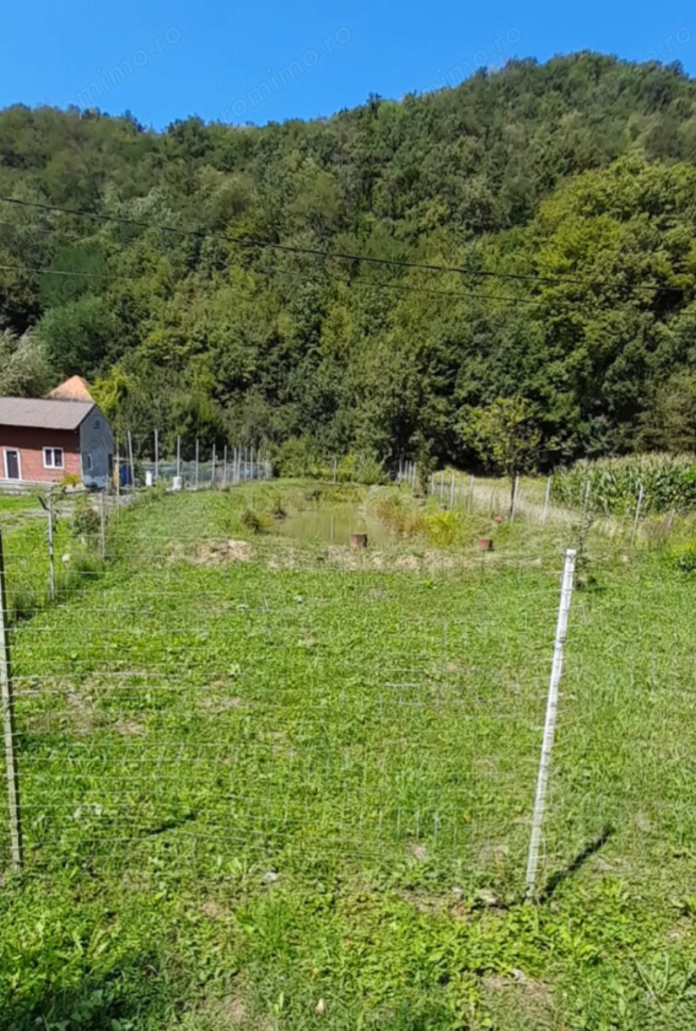 Teren extravilan 572 mp cu BALTA DE PESCUIT in Satul Hartagani din Comuna Baita, Judetul Hunedoara. 