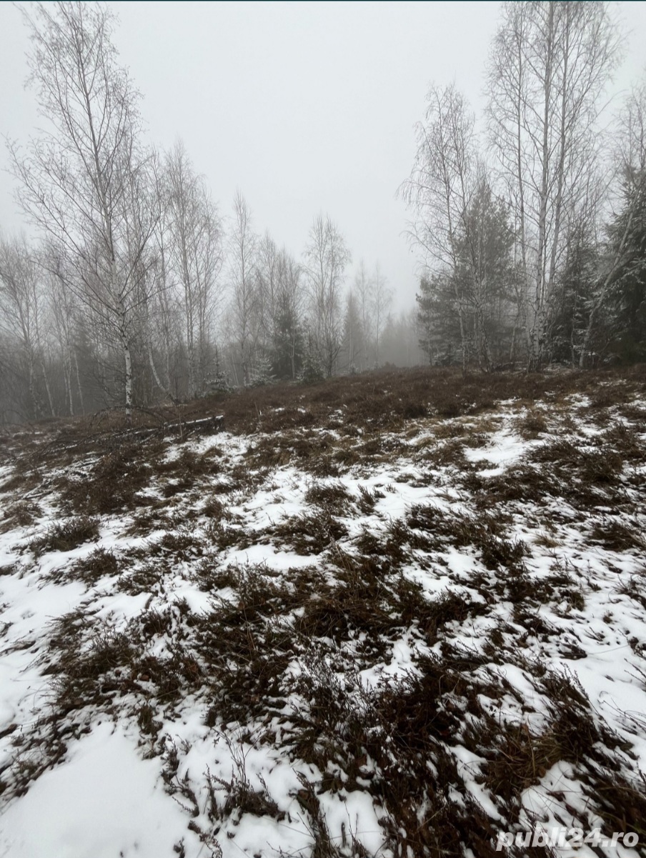 Vand teren Călățele Pădure 