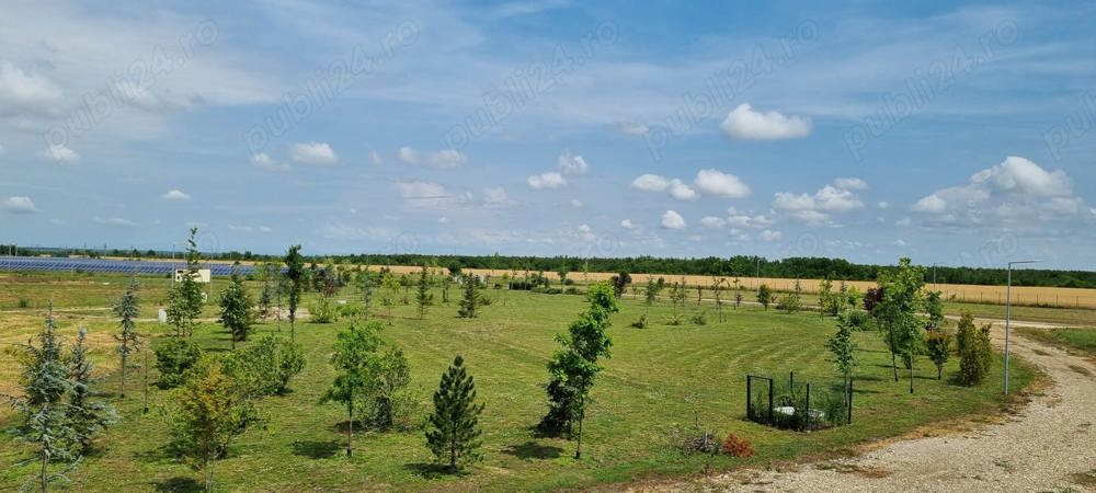 Eden Forest, Teren de vanzare 504 m2, Gulia, Tartasesti, proprietar