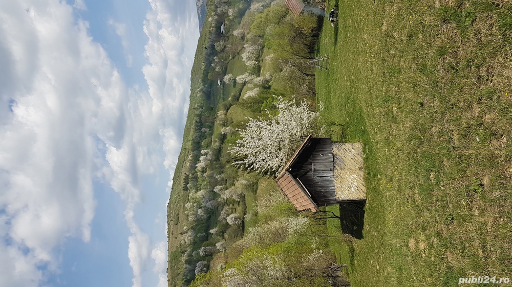 Teren la munte Valea Doftanei Prahova