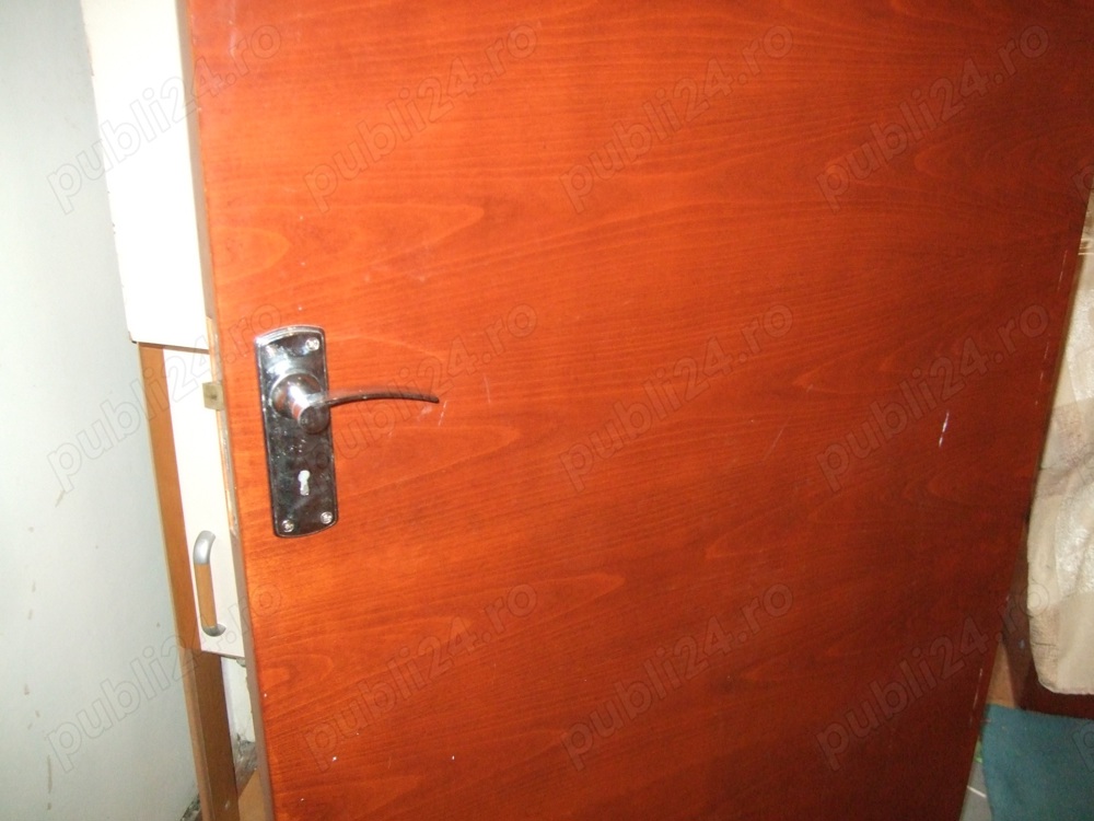 Uși din lemn interior 