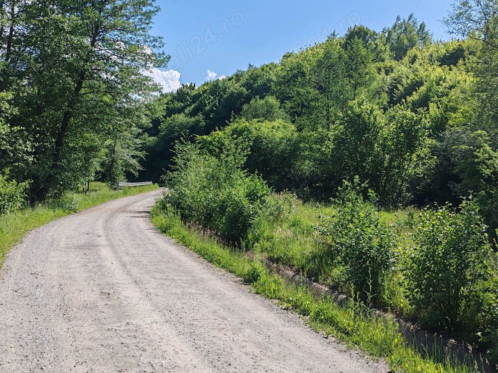 13000 mp (1,3 Ha) TEREN EXTRAVILAN FANEATA, in Muntii Apuseni, NEGRENI, jud. CLUJ, la 5 km de E60 