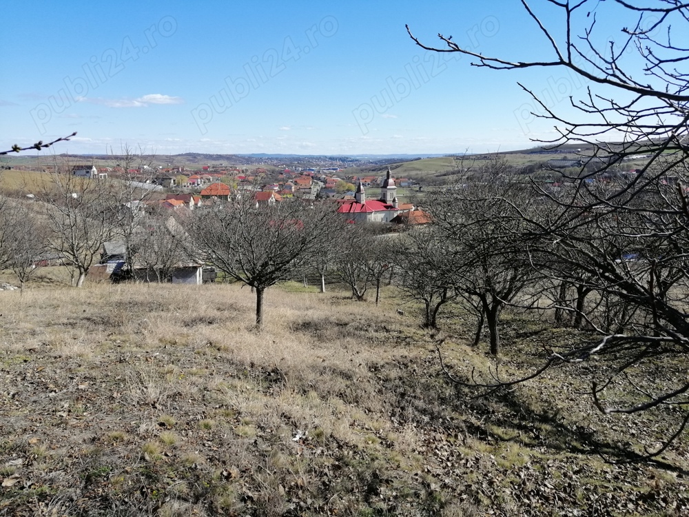 Gradina 20 ari cu casă de vânzare 