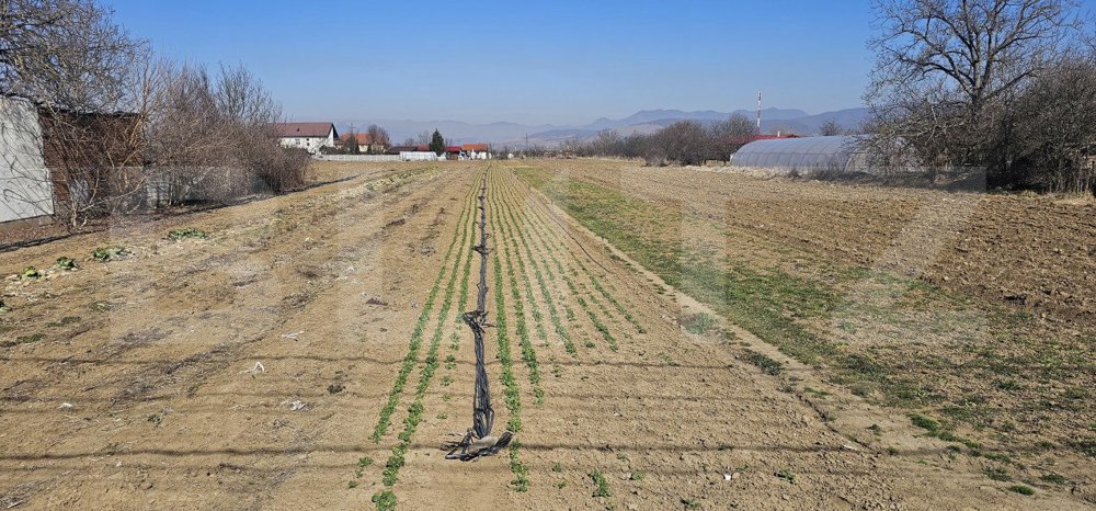 Teren intravilan de vanzare, 4550 mp, în zona Sântuhalm