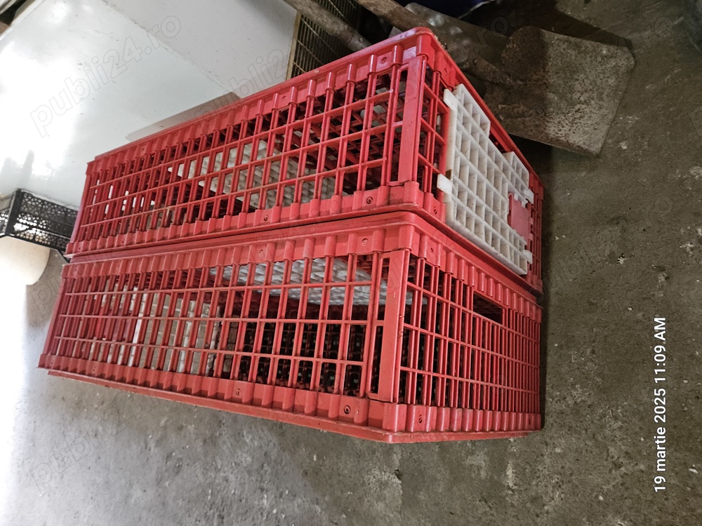 Lazi transport pasari vii