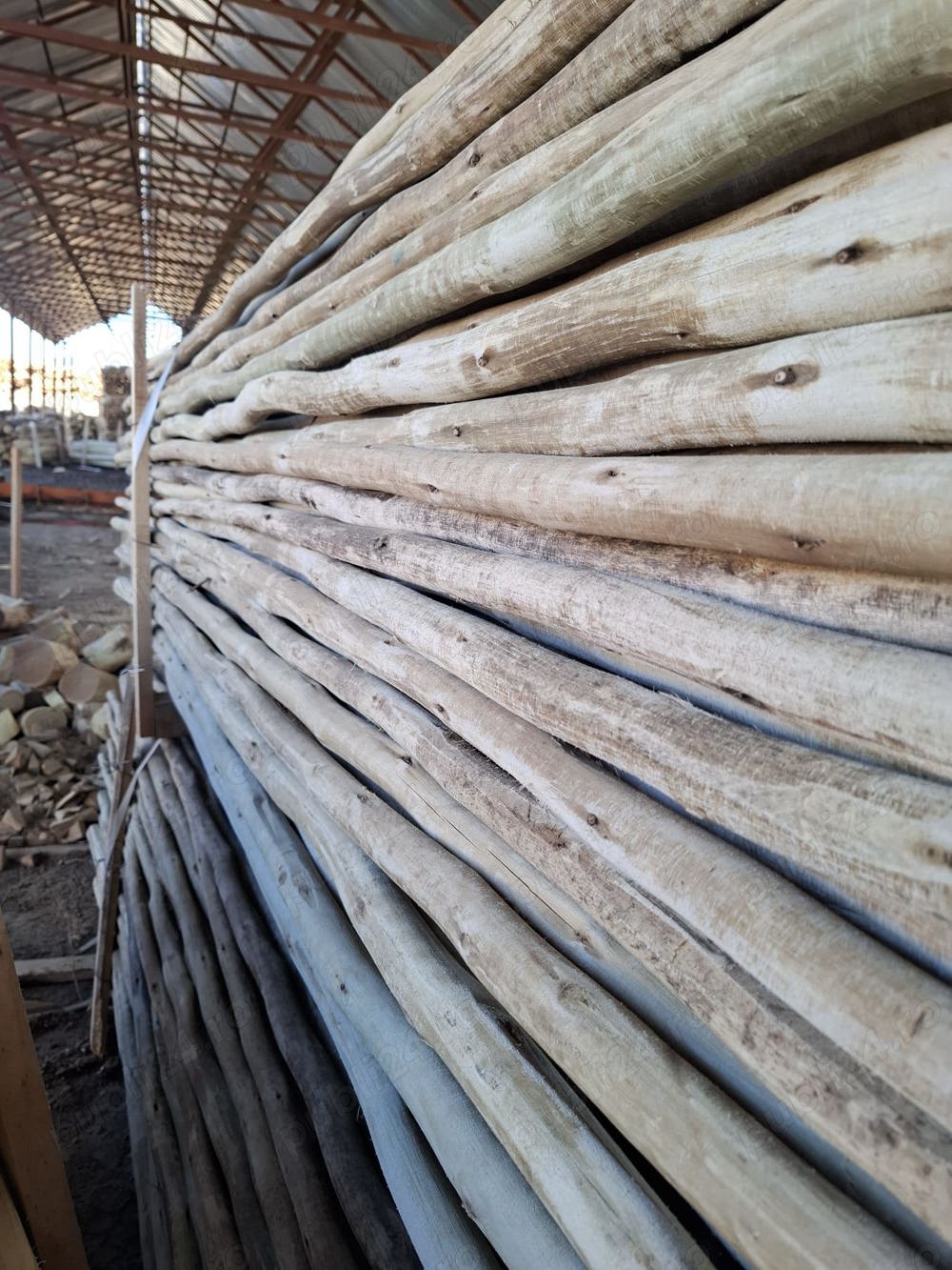 Prajini din lemn de eucalipt