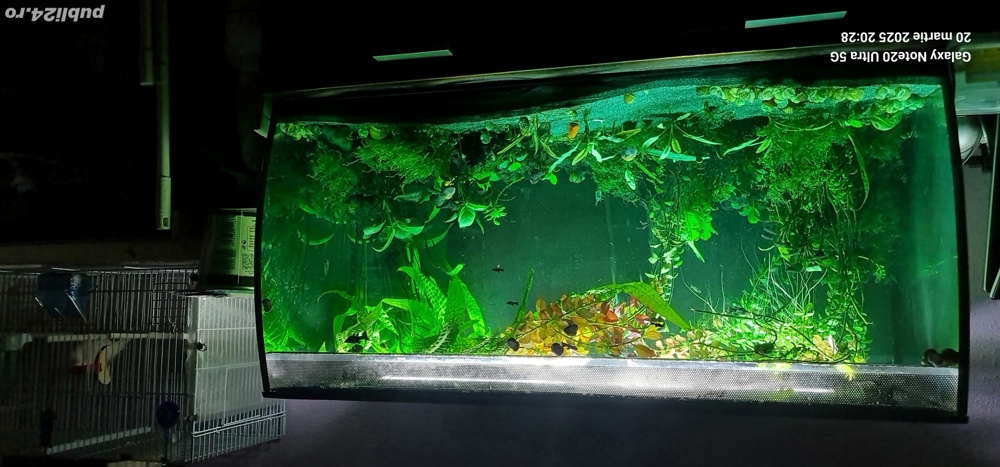 Acvariu fluval  125 litri 