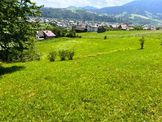 5283 mp TEREN INTRAVILAN in zona turistica montana Bucovina, VAMA - SUCEAVA, Romania