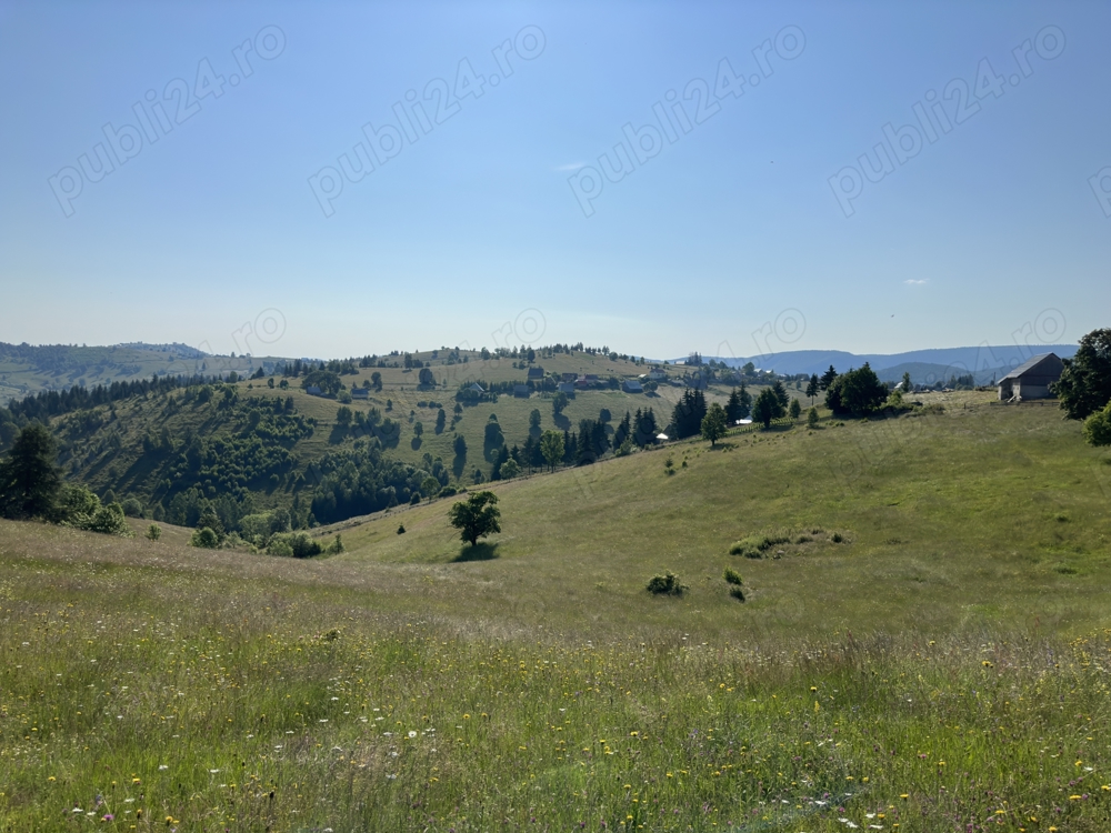 Vand teren intravilan in sat Maguri (com. Maguri-Racatau)