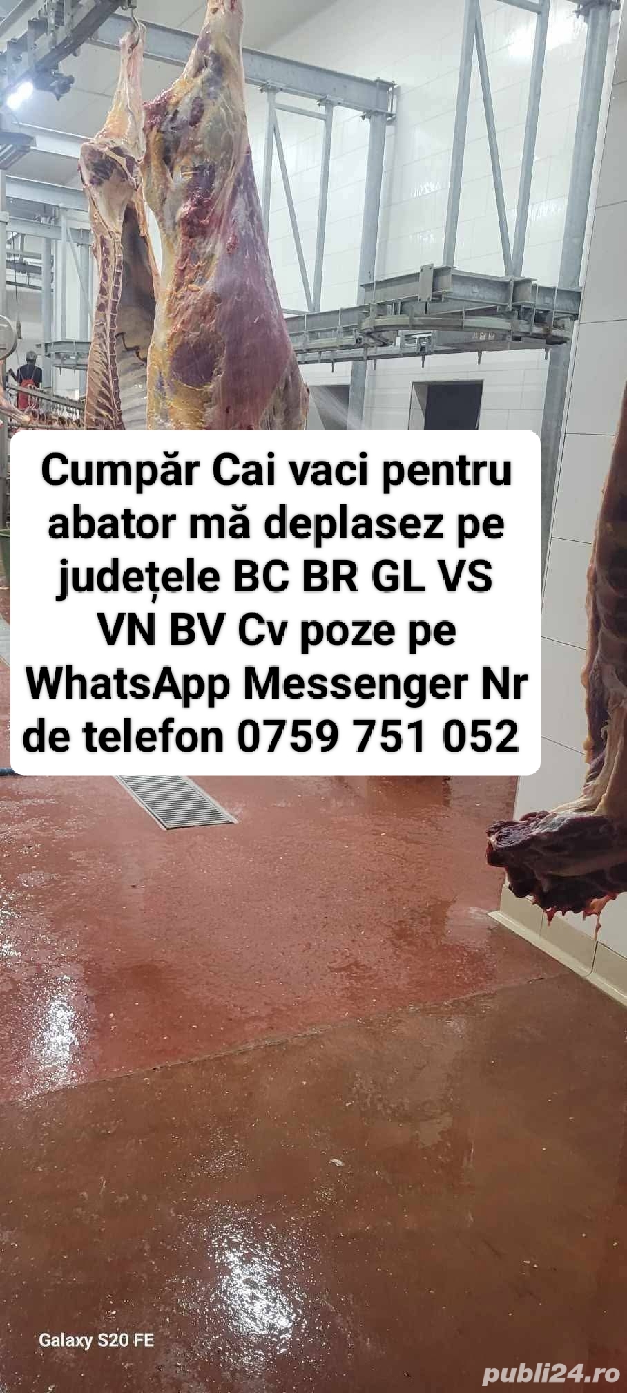Achiziții Cai de abator 