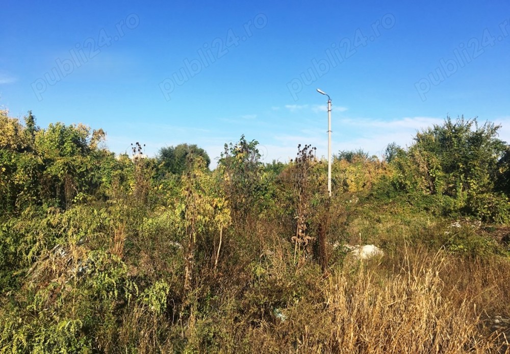 Teren de vanzare Jimbolia