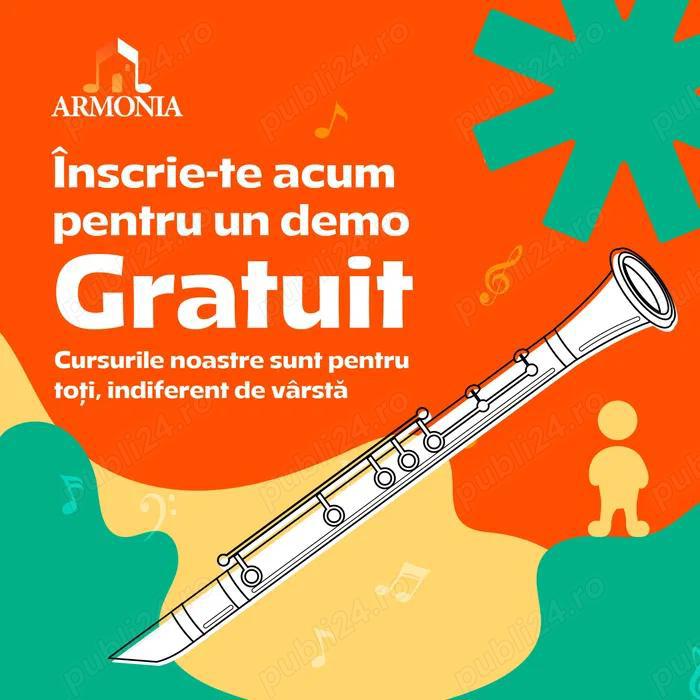 Cursuri de Muzică pentru Copii și Adulți la Școala Armonia București