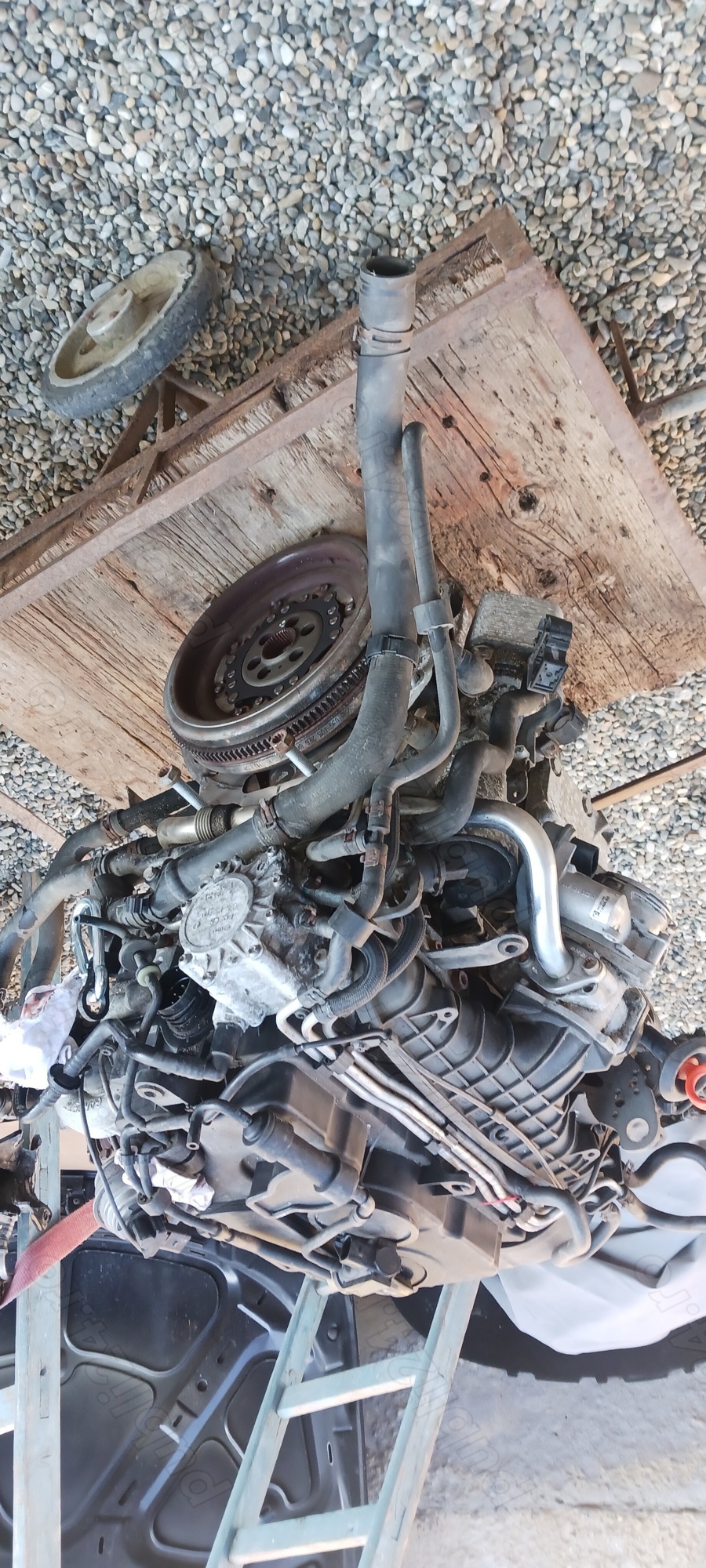 Desmembrez passat b6