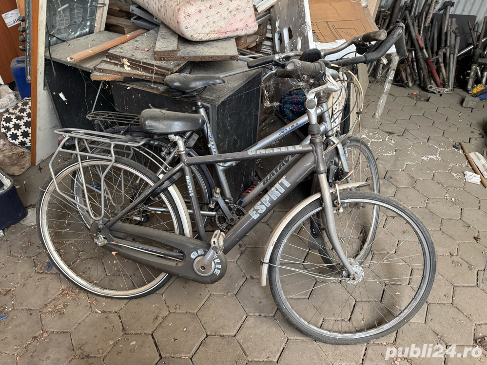 Lot bicilete olandeze