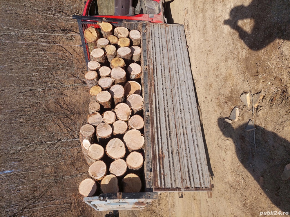 Vand lemn de foc esenta tare fag stejar carpen 