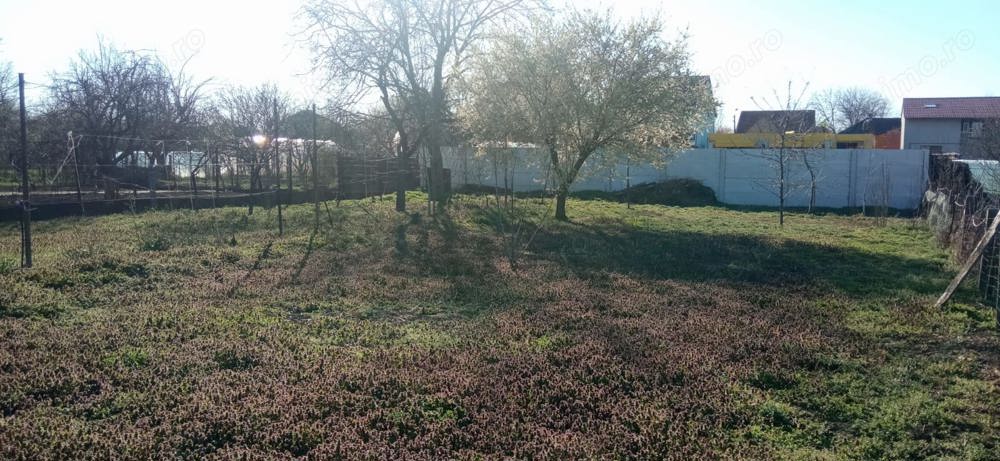 Casa individuala  Mehala 