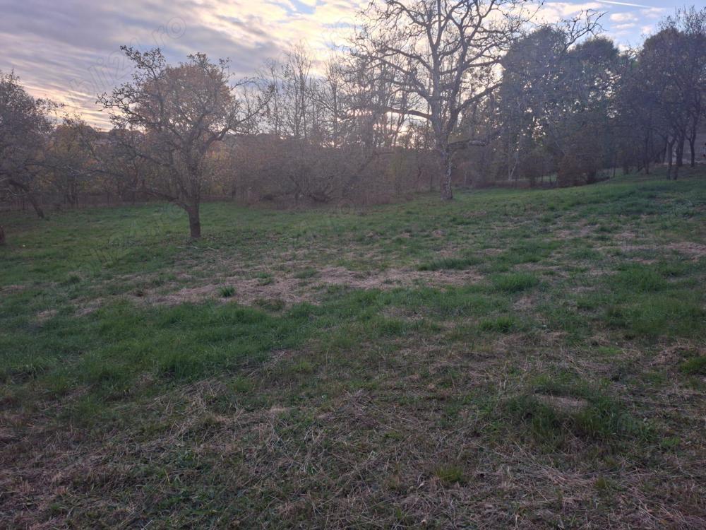 Vând teren intravilan