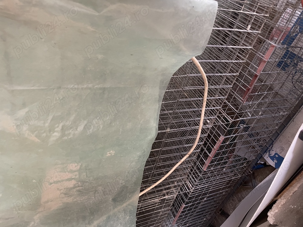 Baterii, crestere pui zburati plus lampi cu becuri etc