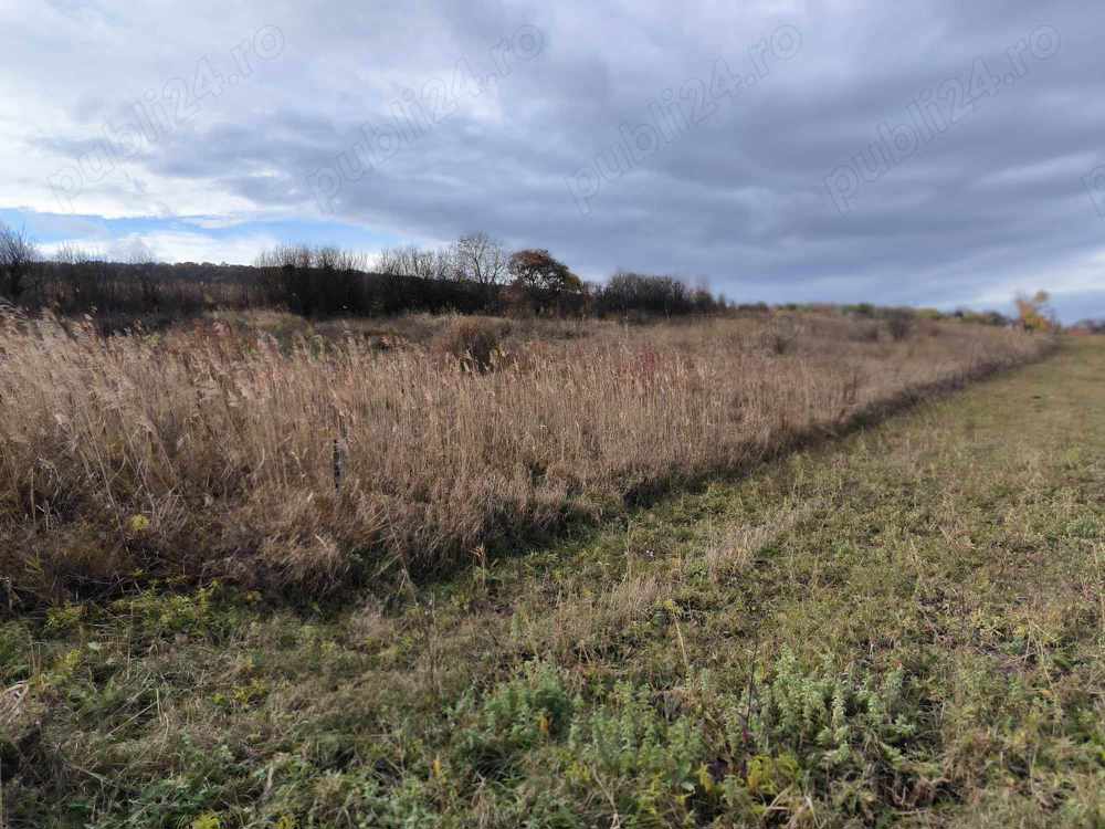 Teren excelent pentru investitie Cluj-Iris