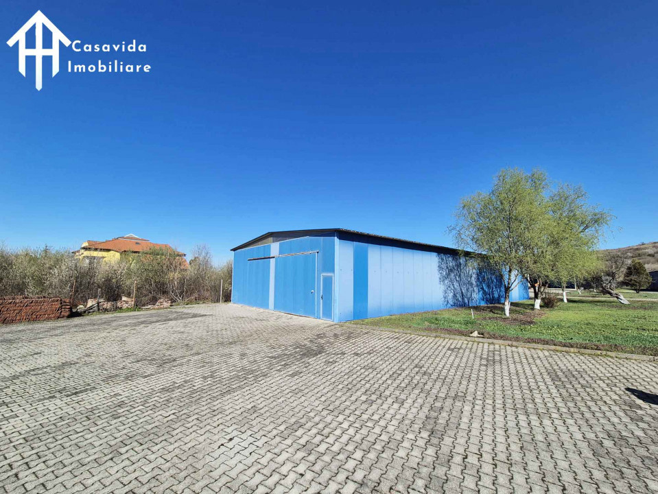 De închiriat hale și showroom în Lugoj