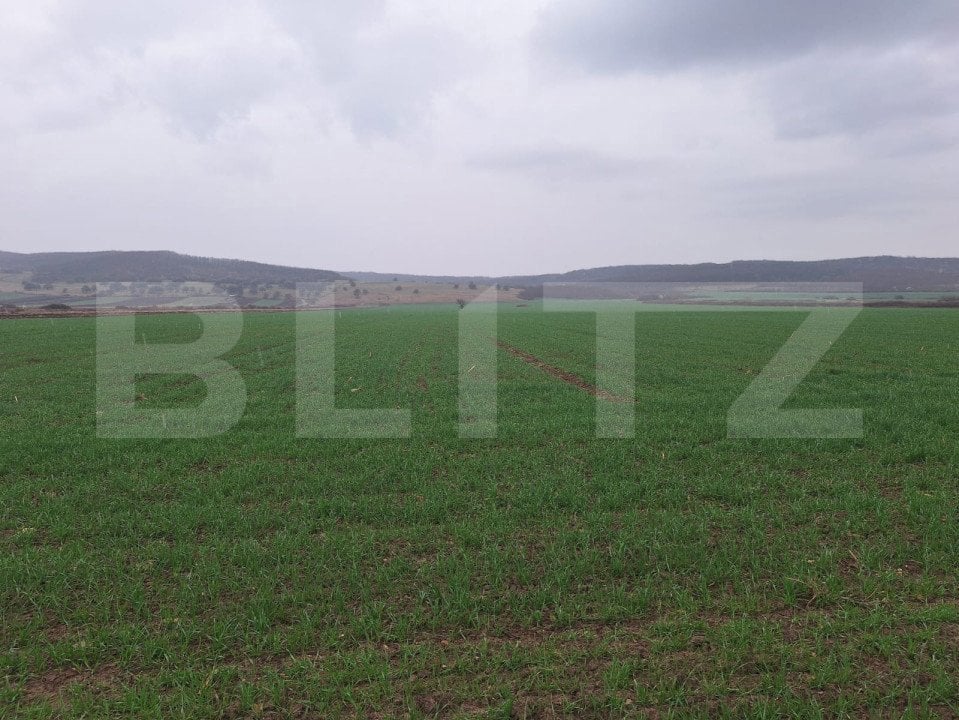 Teren extravilan agricol, 4200 mp, zona Cugir