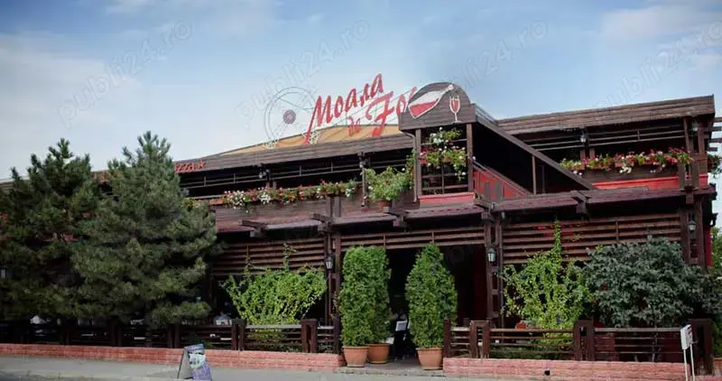 Angajam Bucătar, Pizzer și Ajutor de Bucătar