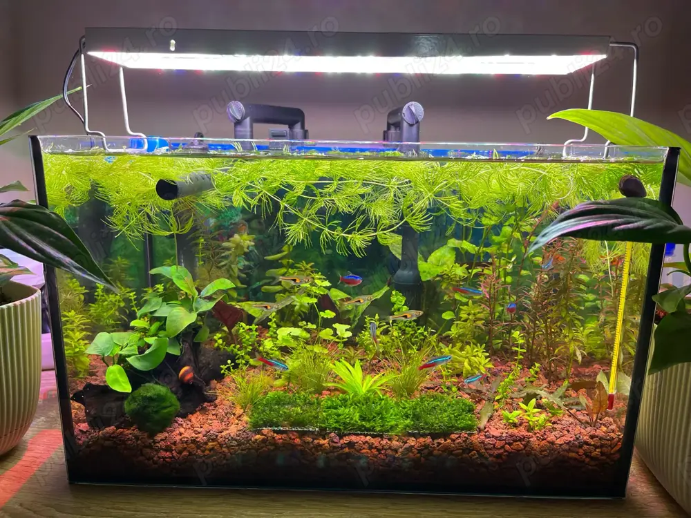 Lampa acvariu 60 cm, 40w, cu dimmer