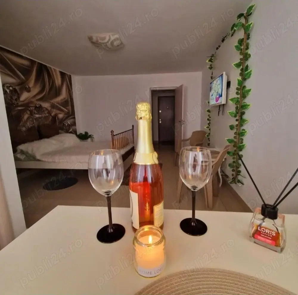 Cazare in Regim hotelier Craiova Brazda