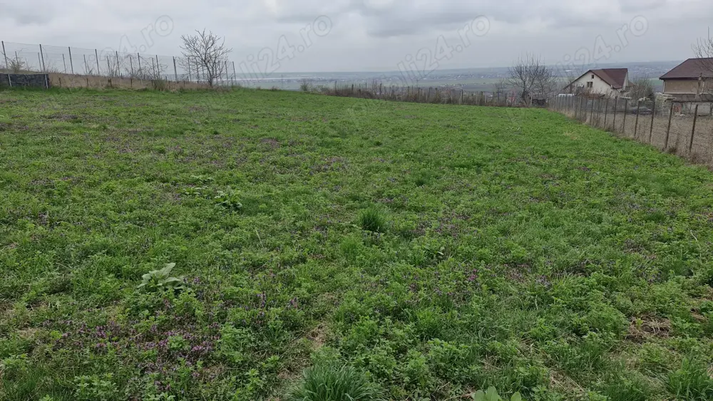 Vând urgent teren intravilan Vând urgent teren intravilan