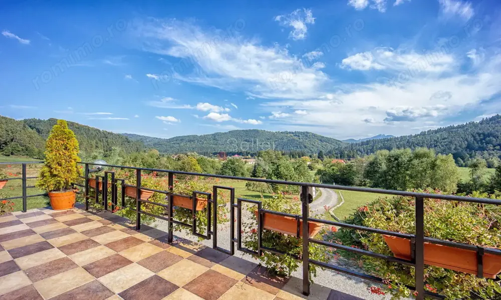 Pensiune Turistica Montana