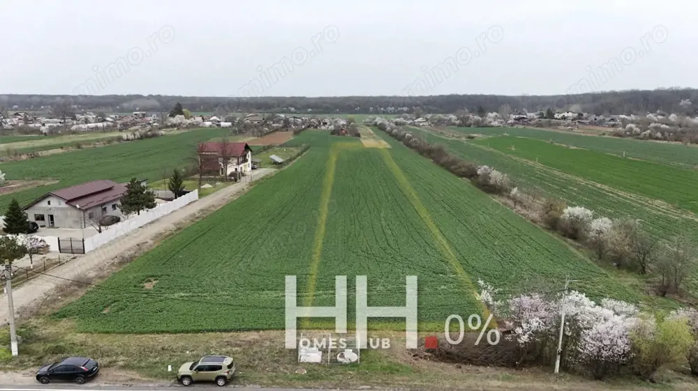 0% | Teren intravilan, 4563 mp, front 25 m, utilitati | Potigrafu PH