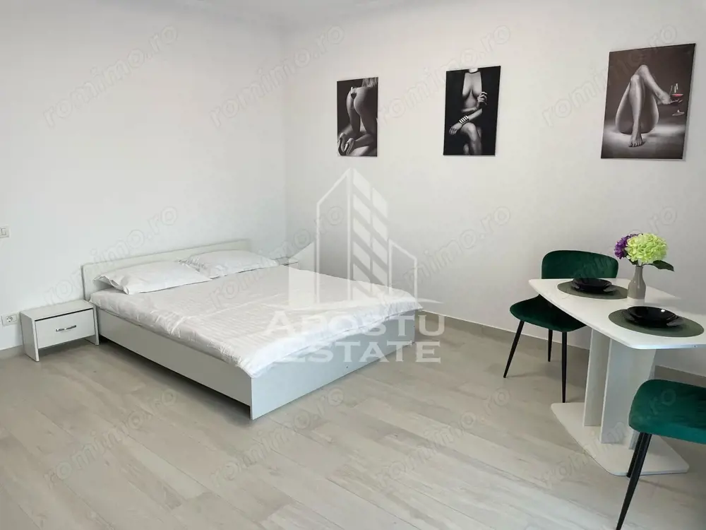 Apartament cu 1 camera mobilat si utilat in Giroc la asfalt.