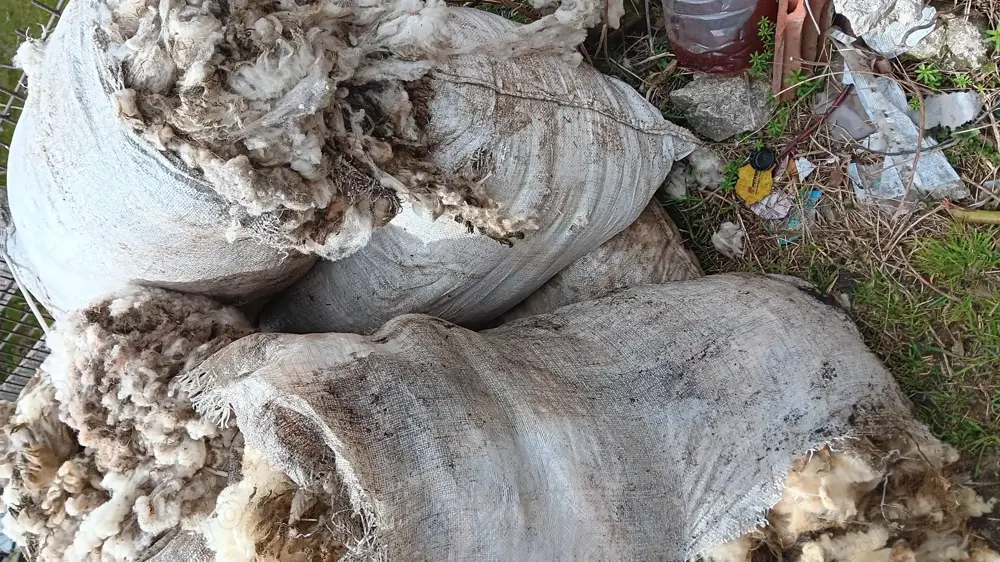 Lână de vânzare  Lână de vânzare