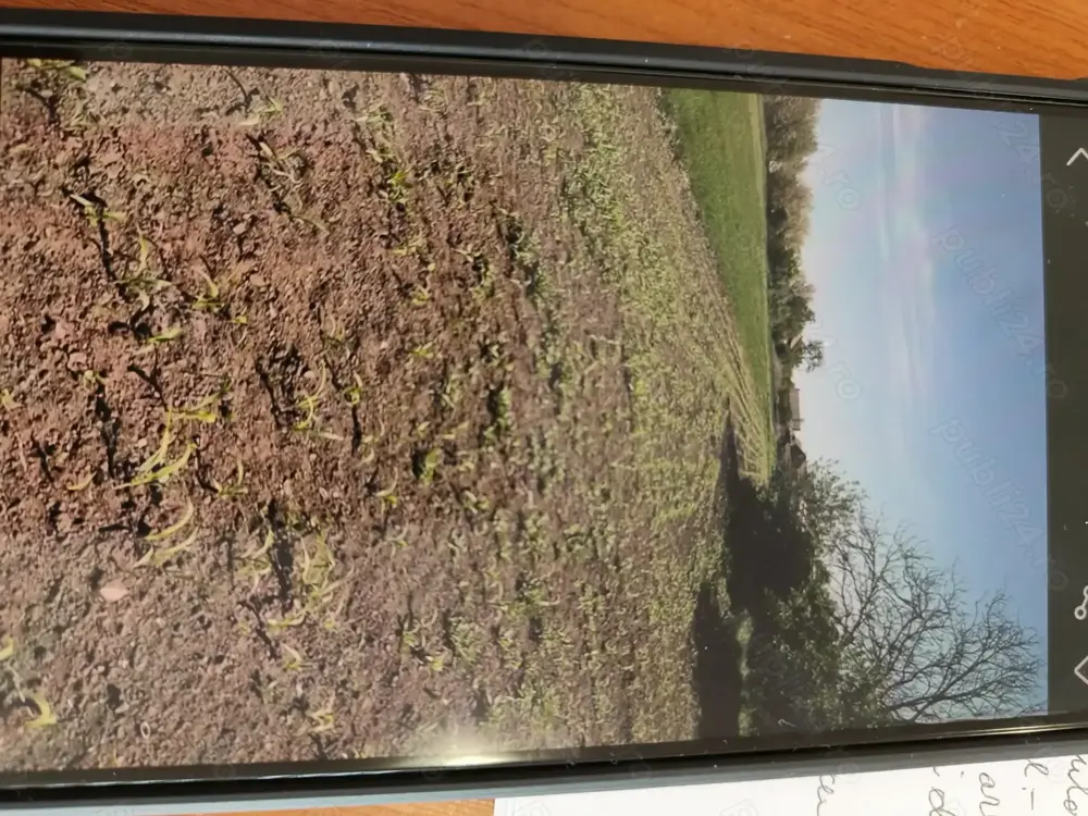 Vând teren intravilan !!!