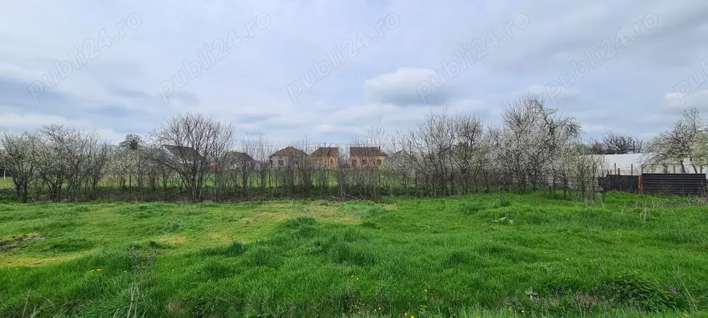 Vând teren intravilan în Bazos