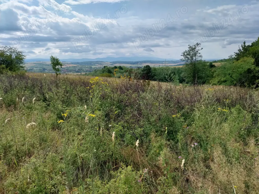 Vand teren arabil 8700 m.p.